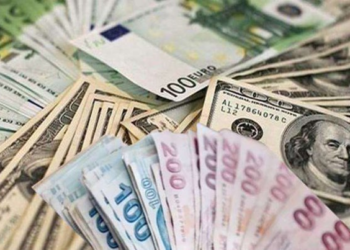 TL’nin bir aylık değer kaybı yüzde 30