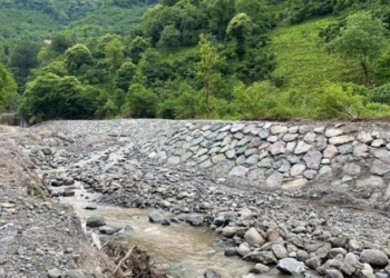 Derede bulunan kopmuş ayağın sırrı araştırılıyor: DNA başvurusu yapıldı