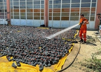 Bartın’da 22 bin ayakkabıyı kurtarma operasyonu