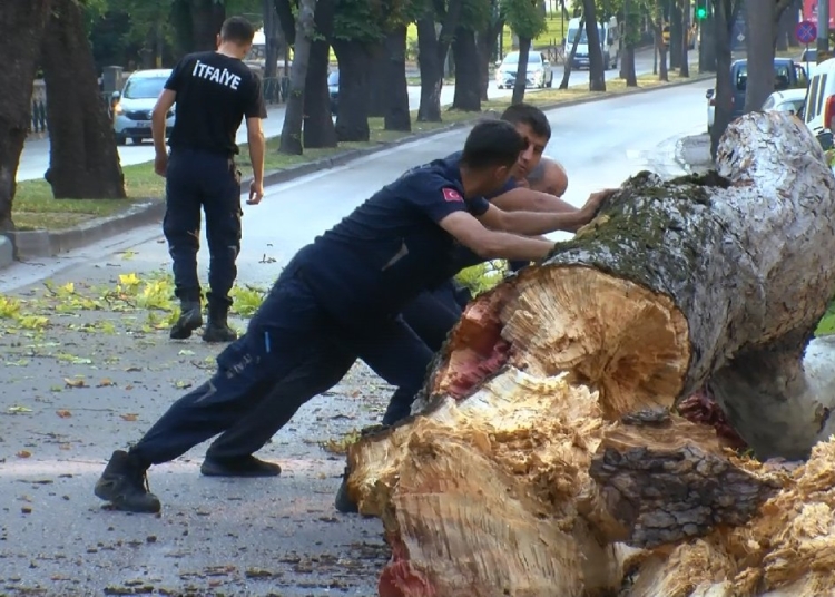 Bursa’da 200 yıllık çınar caddeye devrildi