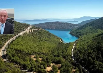 Hazineye devredilmedi: Mahkeme, Cennet Koyu’nu Mehmet Cengiz’e verdi