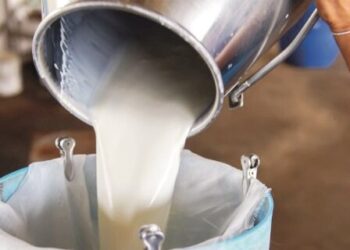 Günlük süte dev zam geliyor