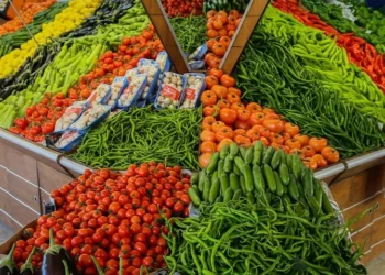 Bu yıl 1,69 milyar dolarlık yaş meyve sebze ihraç edildi