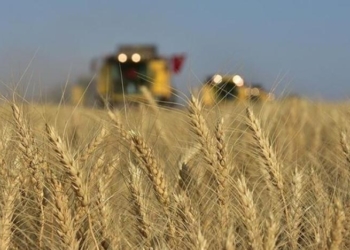 Rusya tahıl anlaşmasına dönmek için 7 şartını açıkladı