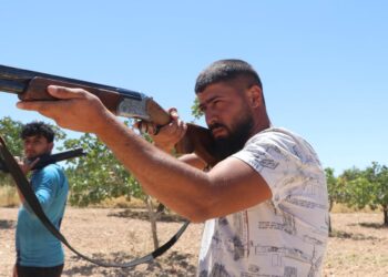 ‘Yeşil altın’ antep fıstığını, günlük 1000 TL’ye koruyorlar