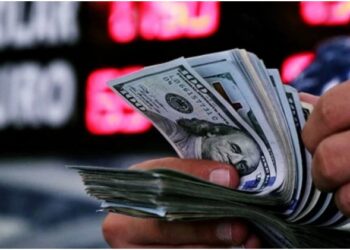 Evren Devrim Zelyut: Benzin 46, dolar 31 lira olacak