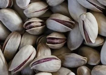 Antepfıstığı üreticisi mutsuz: Fiyatlar maliyetleri karşılamıyor