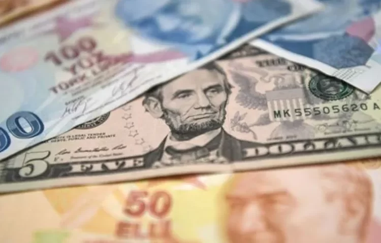 Türk Lirası'nın reel değeri 19 ayın en düşüğünde 1 Türk Lirası’nın reel değeri 19 ayın en düşüğünde