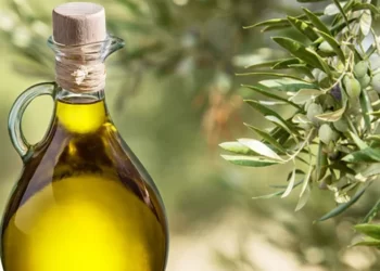 Zeytinyağı fiyatları bir ayda yüzde 75 arttı