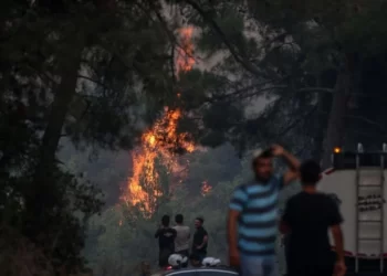 Bursa’da orman yangını devam ediyor