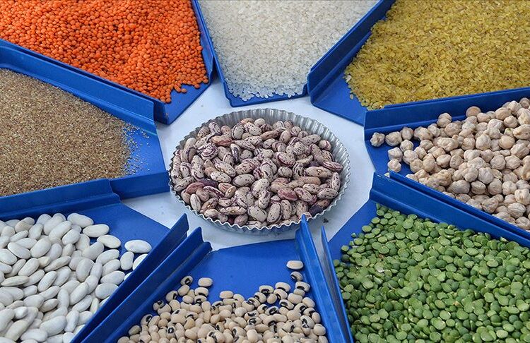 Gıda fiyatları dünyada son iki yılın en düşük seviyesinde