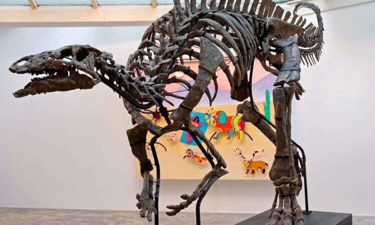 150 milyon yıllık dinozor iskeleti satılıyor 1 150 milyon yıllık dinozor iskeleti satılıyor