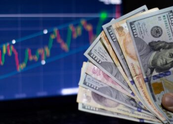 TL mevduat faizleri etkisiz kaldı: KKM’den çıkan dövize dönüyor