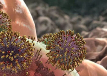 Eris varyantından korunmada etkili olan gıdalar belli oldu