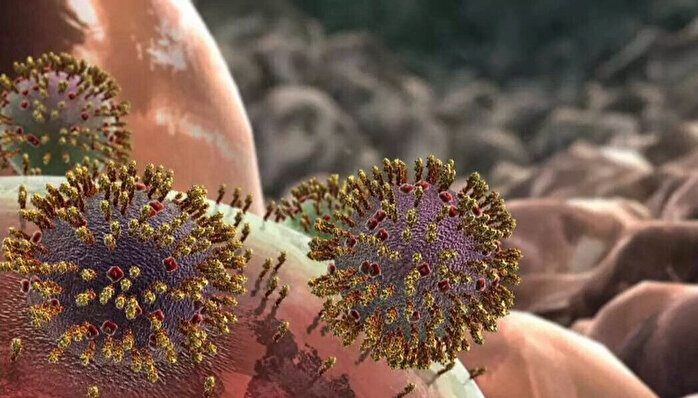 Eris varyantından korunmada etkili olan gıdalar belli oldu 1 Eris varyantından korunmada etkili olan gıdalar belli oldu