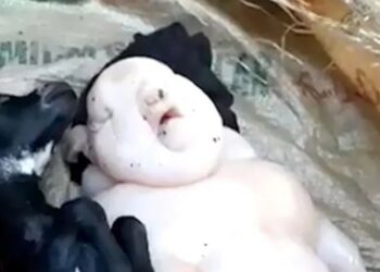 Keçinin doğurduğu yavruyu görenler gözlerine inanamadı