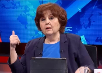 Gazeteci Ayşenur Arslan hakkında soruşturma başlatıldı