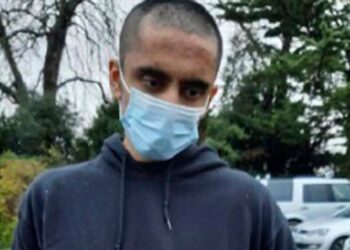 Yapay zekanın Kraliçe II. Elizabeth’i öldürmeye teşvik ettiği İngiliz 9 yıla mahkum edildi