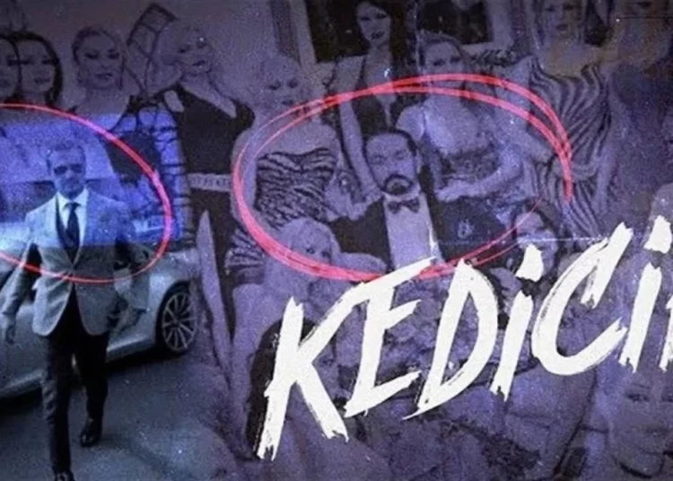 'Kedicik' belgeseli yeniden yayında 1 ‘Kedicik’ belgeseli yeniden yayında