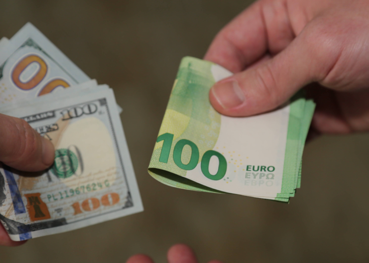 Döviz kurlarındaki hareketlilik sürüyor