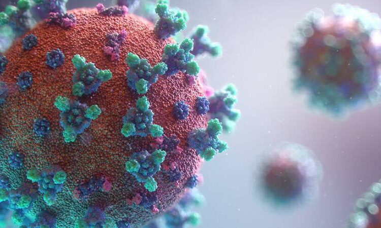 Sadece erkekleri öldüren yeni bir virüs keşfedildi