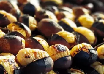 Çin kestanesini ‘hayvan yemi’ olarak ithal edip halka yedirmişler