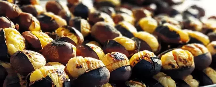 Çin kestanesini ‘hayvan yemi’ olarak ithal edip halka yedirmişler