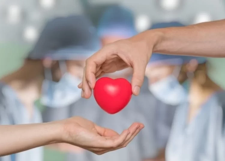 Türkiye’de 33 bin hasta organ bekliyor, her yıl 2,5 bin kişi beklerken ölüyor 1 Türkiye’de 33 bin hasta organ bekliyor, her yıl 2,5 bin kişi beklerken ölüyor