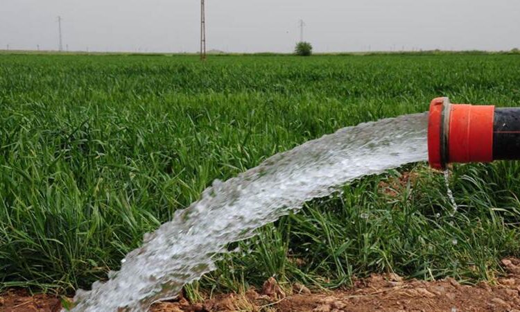 Erdoğan imzaladı: Türk-Sudan Tarım Hayvancılık şirketi tasfiye edildi