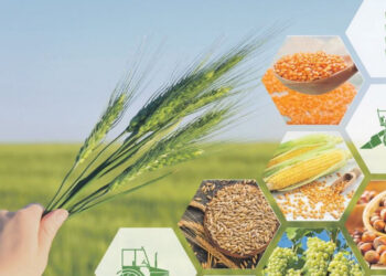 Kur korumalı mevduata giden para, tarıma ayrılanın 3 katı