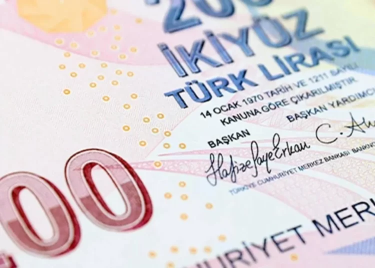 Hafize Gaye Erkan imzalı yeni 200 TL’lik banknotlar tedavüle girdi