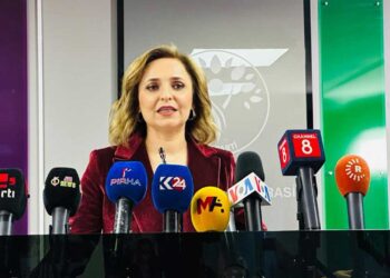 DEM Parti Sözcüsü Doğan, aday çıkaracakları illeri açıkladı 2 DEM Parti Sözcüsü Doğan, aday çıkaracakları illeri açıkladı