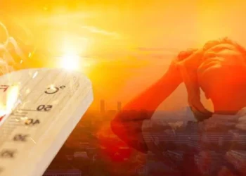 Bu yıl daha da kavrulacağız! Küresel sıcaklık artışı ilk kez 1,5 derece limitini aştı 7 Bu yıl daha da kavrulacağız! Küresel sıcaklık artışı ilk kez 1,5 derece limitini aştı