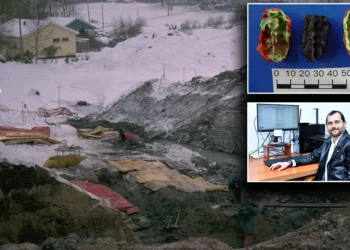 Çiğnenmiş 3 sakız 9 bin yıllık sırrı açığa çıkardı