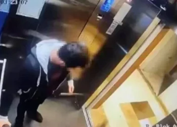 Asansördeki kediyi vahşice öldüren İbrahim Keloğlan yeniden yargılanacak 3 Asansördeki kediyi vahşice öldüren İbrahim Keloğlan yeniden yargılanacak