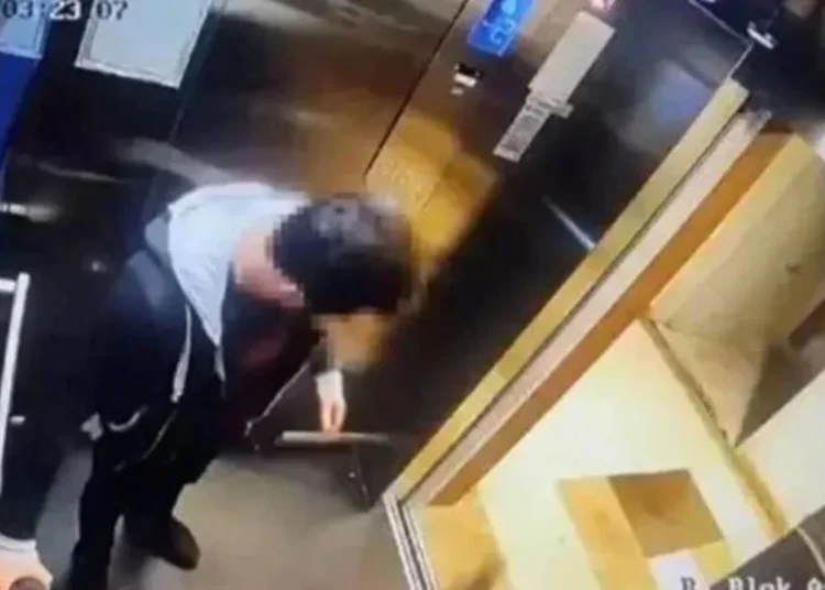 Asansördeki kediyi vahşice öldüren İbrahim Keloğlan yeniden yargılanacak 1 Asansördeki kediyi vahşice öldüren İbrahim Keloğlan yeniden yargılanacak