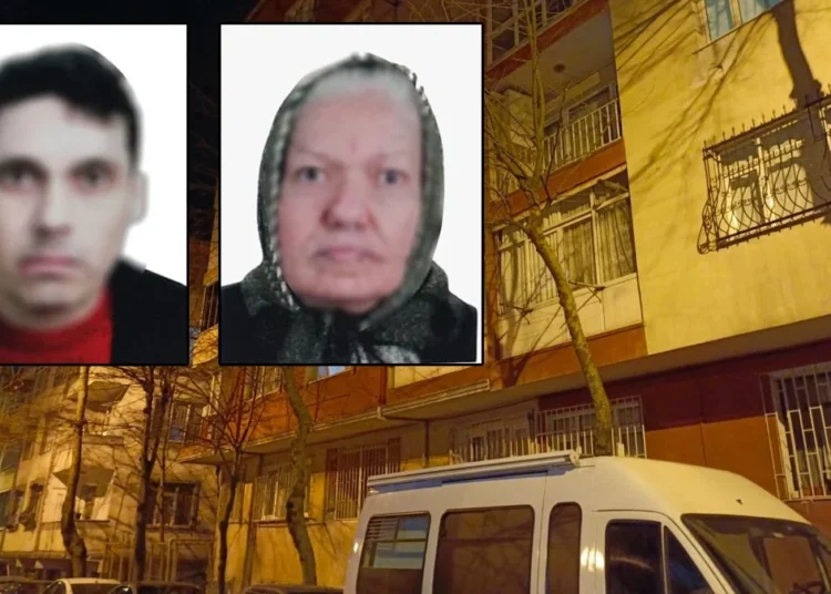 Psikolojik rahatsızlığı olan evlat annesini öldürdü 1 Psikolojik rahatsızlığı olan evlat annesini öldürdü