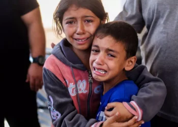 Sınır Tanımayan Doktorlar: 5 yaşından küçük Filistinli çocuklar yaşamaktansa ölmeyi istiyor