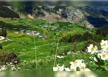 İliç’i zehirleyen Anagold’un sahipleri gözünü Artvin’in Hod Vadisi’ne dikti