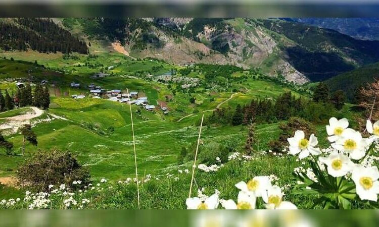 İliç’i zehirleyen Anagold’un sahipleri gözünü Artvin’in Hod Vadisi’ne dikti