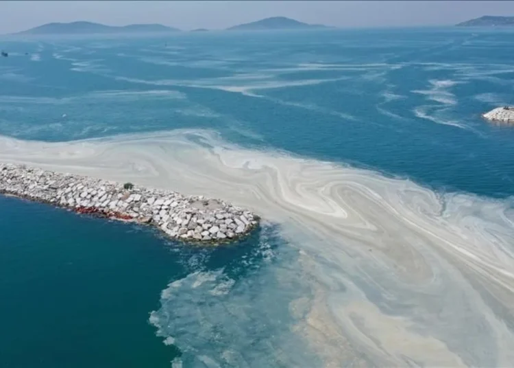 Müsilaj geri mi geliyor? 1 Müsilaj geri mi geliyor?