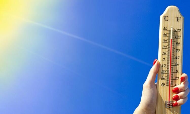 Türkiye'de son 53 yılın en sıcak ocak ayı yaşandı 1 Türkiye’de son 53 yılın en sıcak ocak ayı yaşandı