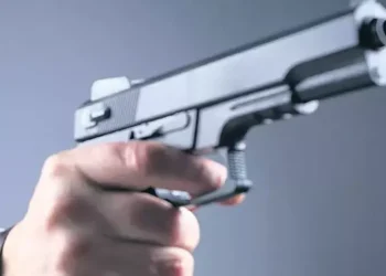 Türkiye’de 34 milyon silahın 30 milyonu ruhsatsız