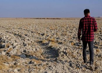 Kış geçti kar yok, hava sıcak, tarımda üretim zor