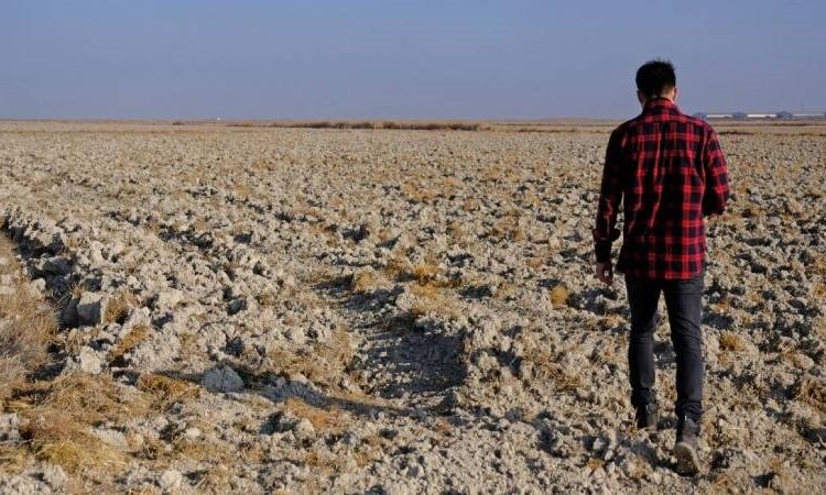 Kış geçti kar yok, hava sıcak, tarımda üretim zor 1 Kış geçti kar yok, hava sıcak, tarımda üretim zor