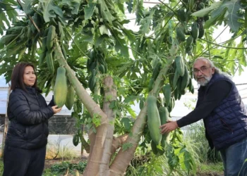 Eşi seviyor diye üretime başladı: Siparişlere yetişemiyor