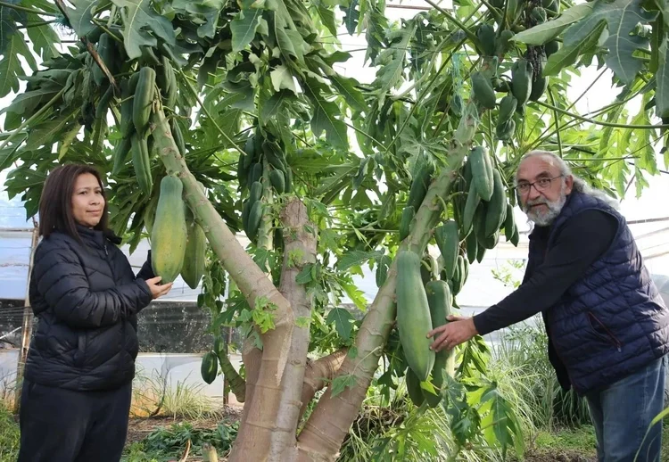 Eşi seviyor diye üretime başladı: Siparişlere yetişemiyor 1 Eşi seviyor diye üretime başladı: Siparişlere yetişemiyor