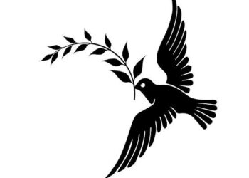 Safa Kar yazdı… FB ve GS’ye kupa şoku!