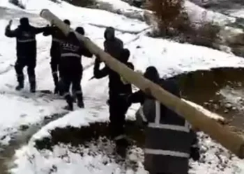 9 metrelik direği 2 kilometre sırtlarında taşıyıp, 9 köyü elektriğe kavuşturdular