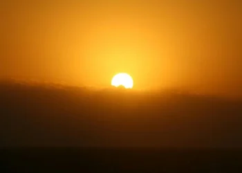 Resmi rakamlar kaygı verici: 2024, 2023’ü aratabilir